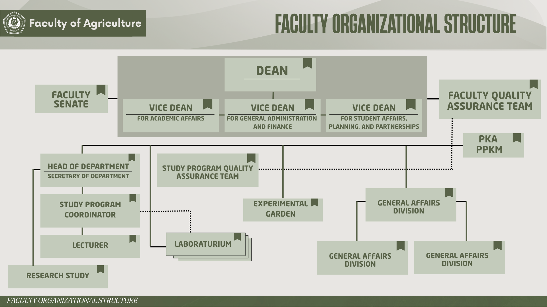 Faculty Organizational Structure