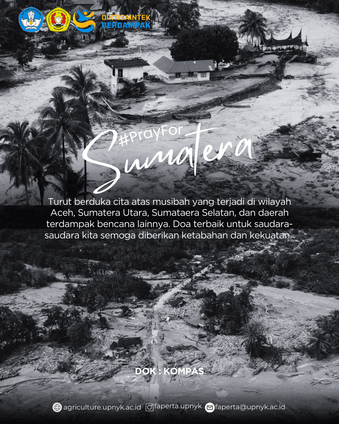 Bencana Alam di Sumatera: Tanaman Penyerap Air Sebagai Solusi Mengurangi Dampak Banjir dan Longsor