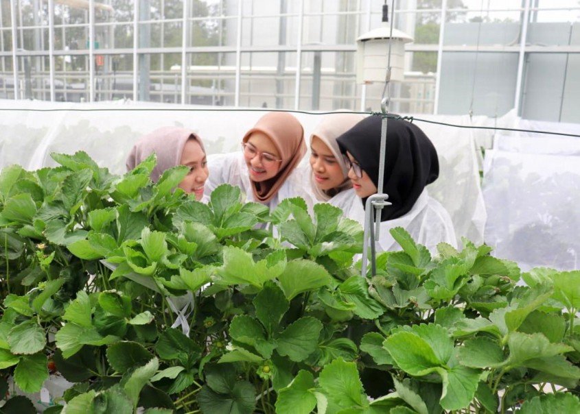 Pertukaran Mahasiswa ke Universitas Western Sydney