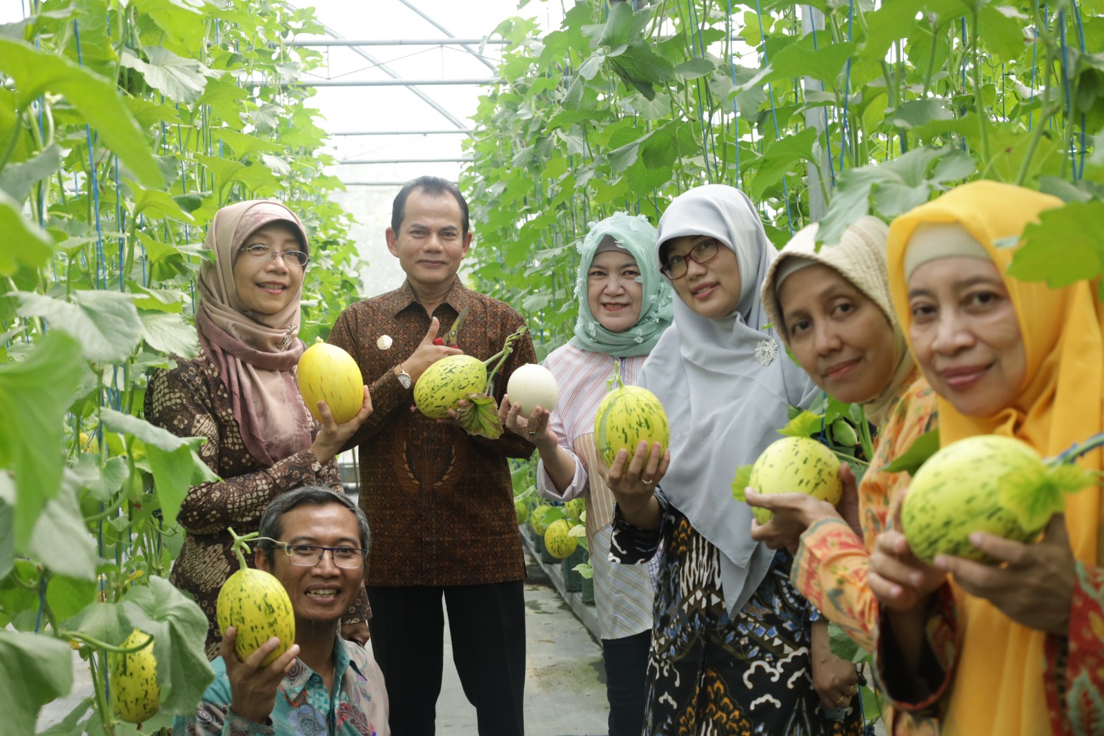MELDO UPNVY1 , Melon Unik Karya Dosen dan Mahasiswa Pemulia Tanaman  UPNVY