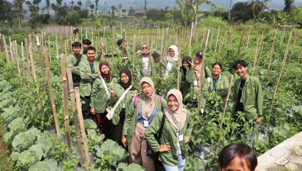 Pengenalan Pertanian 1